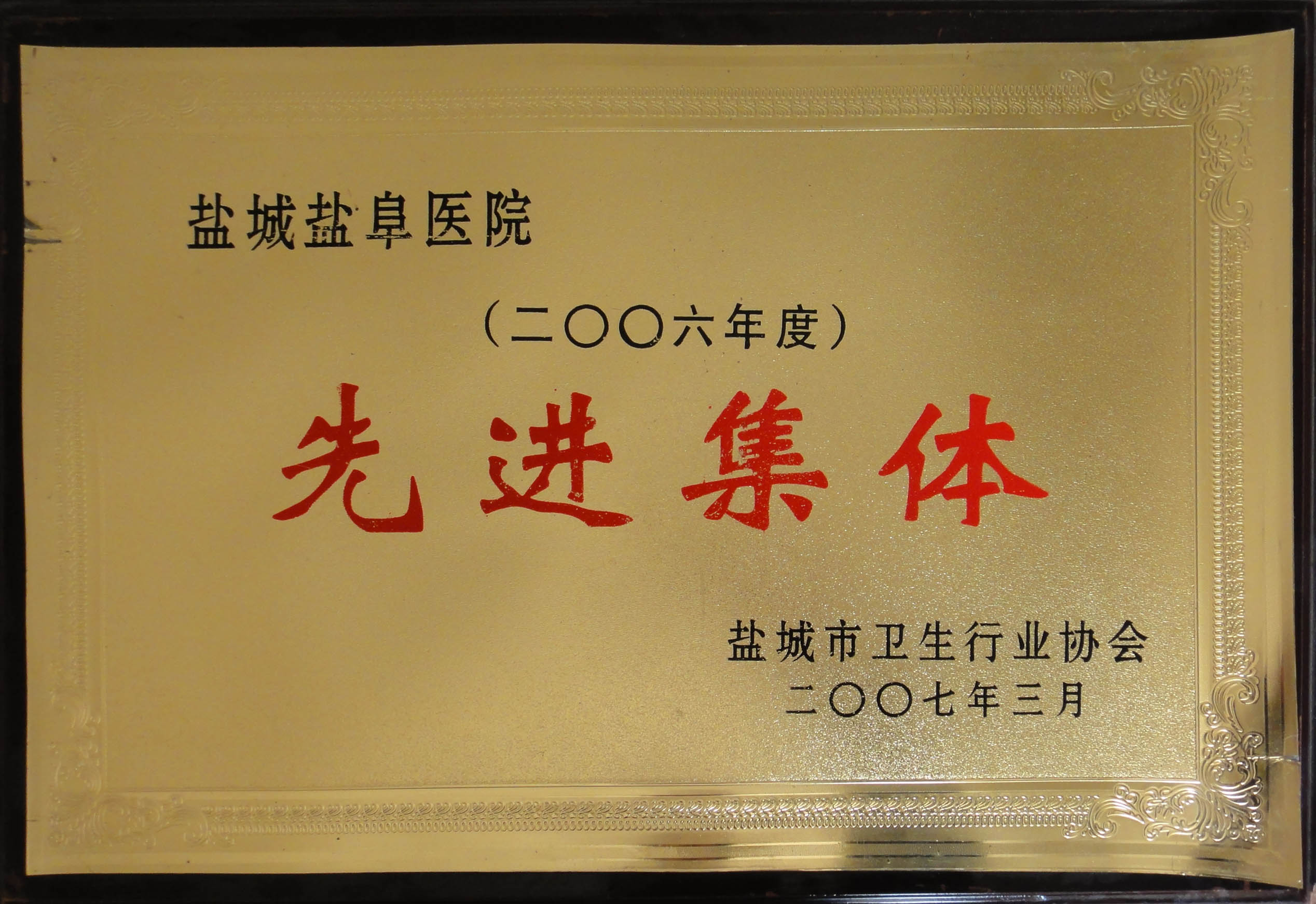 2006年度鹽城市衛生行業先進集體(tǐ)