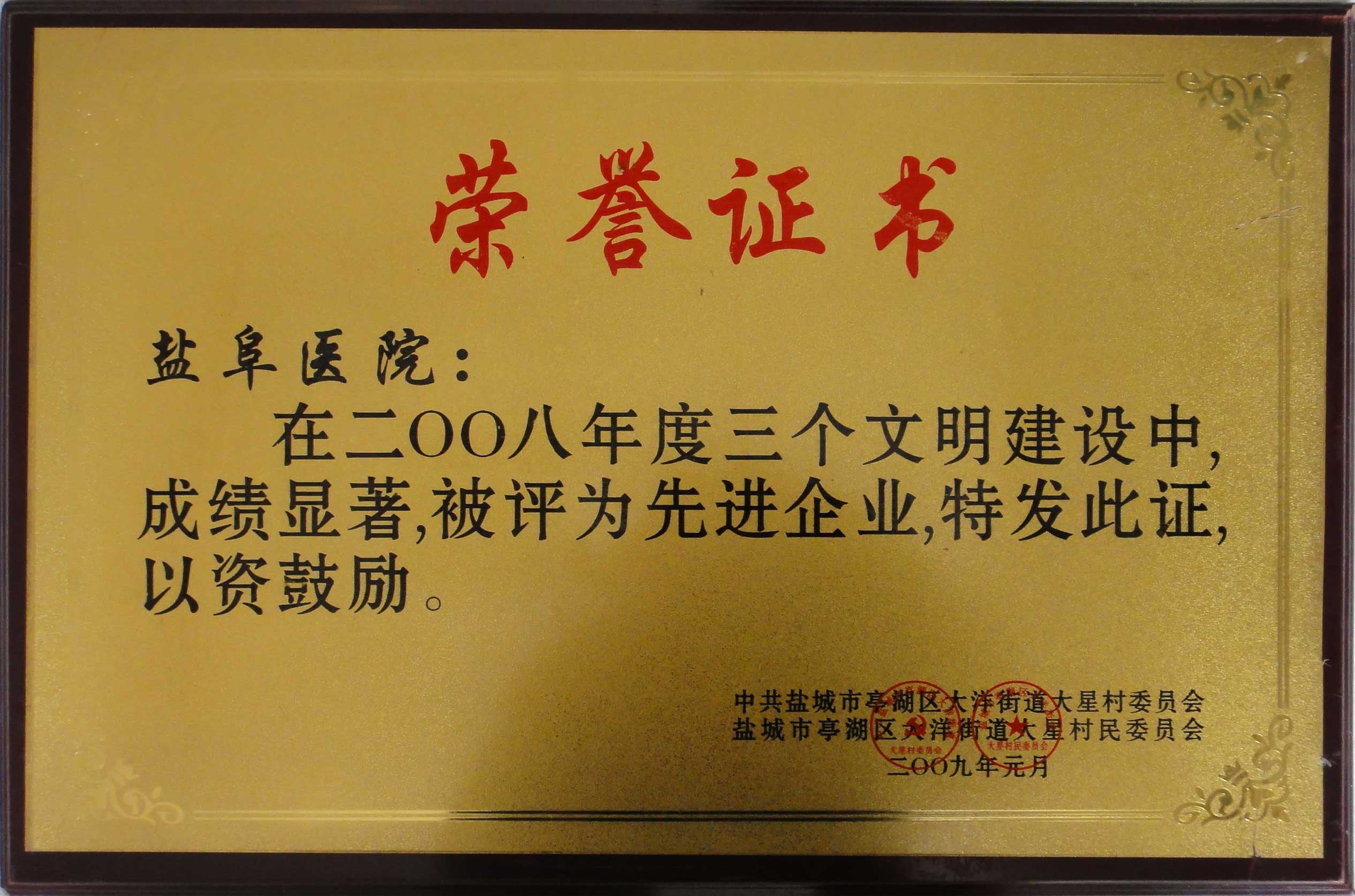 2008年度先進企業