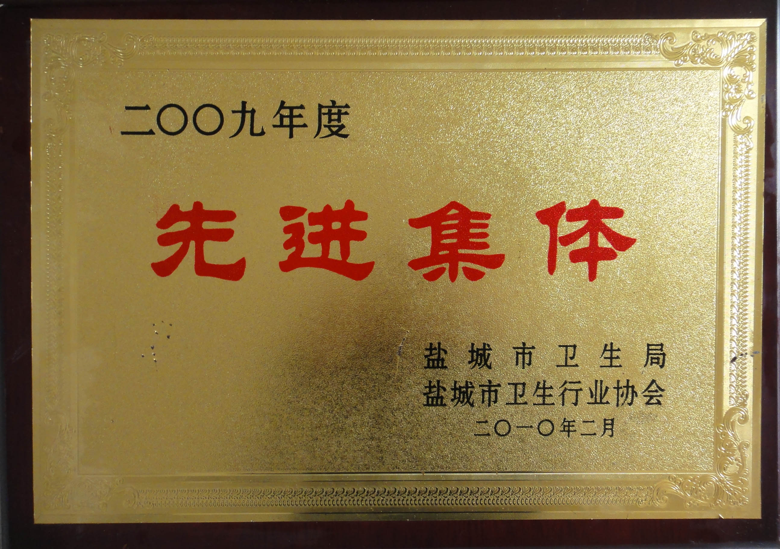 2009年度鹽城市衛生行業先進集體(tǐ)